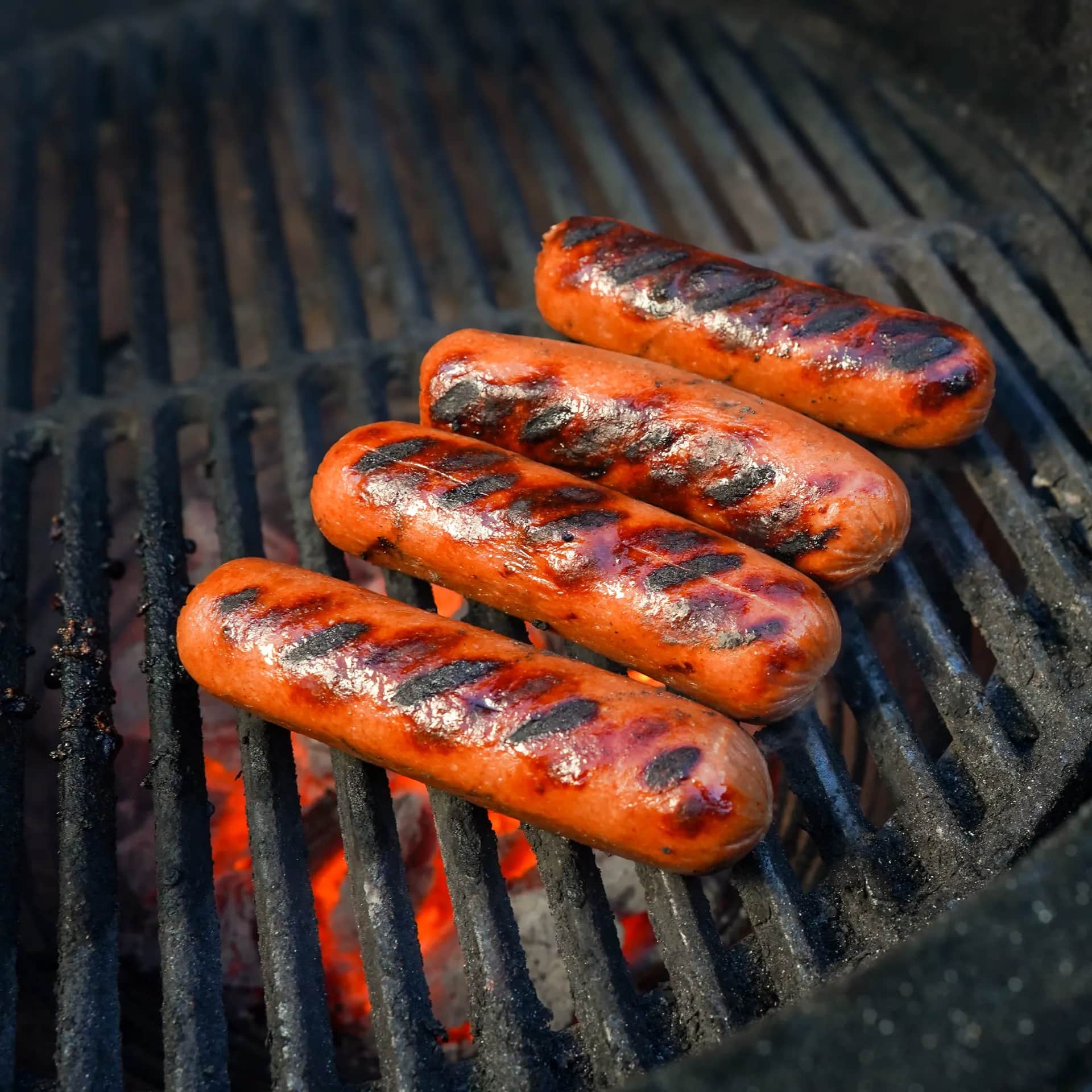 Kobe hot dogs